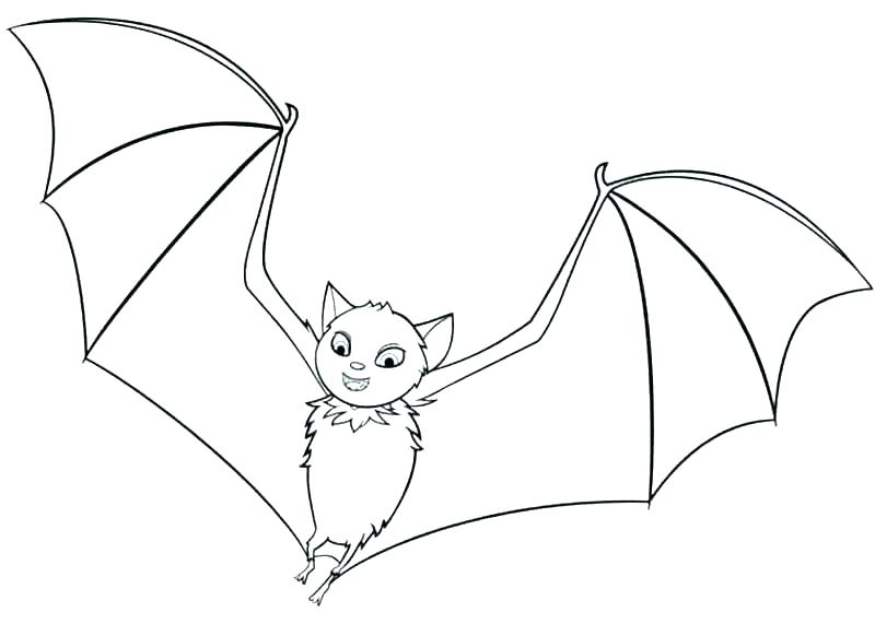 800x571 Coloring Pages Bats Cute Coloring Pages How To Draw A Cute Bat