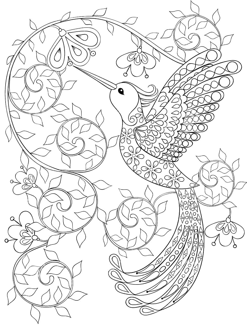 977x1292 New Adult Coloring Pages Hummingbird Free Coloring Pages Download