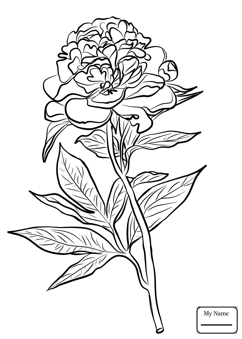 947x1326 Coloring For Kids Bird Pages St Louis Cardinal Arizona Cardinals