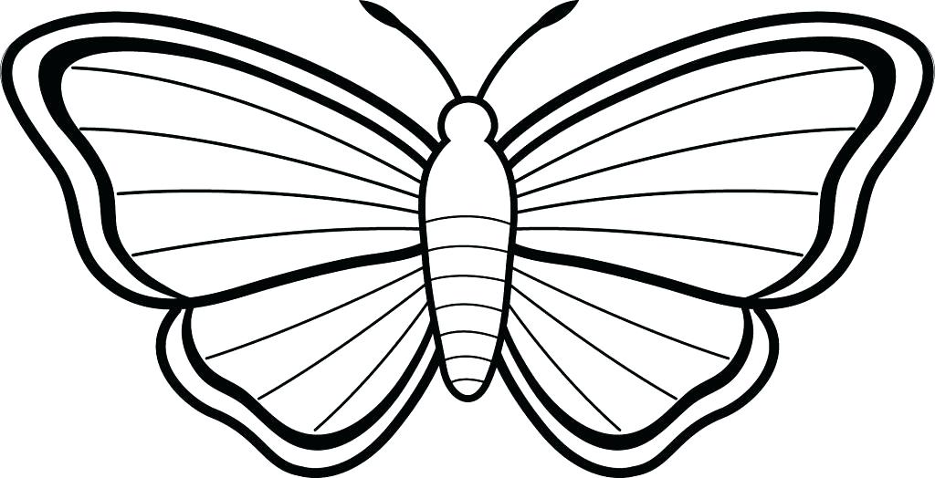 1024x524 Simple Butterfly Coloring Pages Also Simple Butterfly Coloring