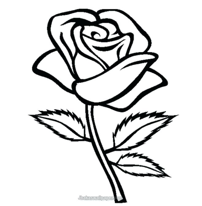 658x671 Rose Flower Coloring Pages Kids Colouring In Cure Rose Flower