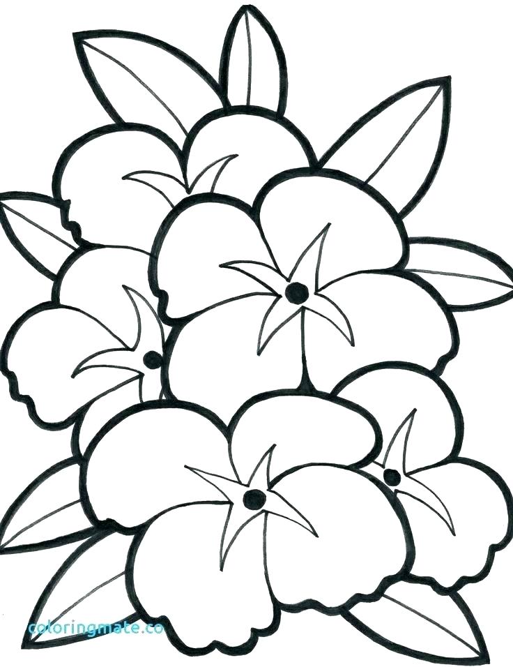 736x956 Simple Coloring Pages Flowers