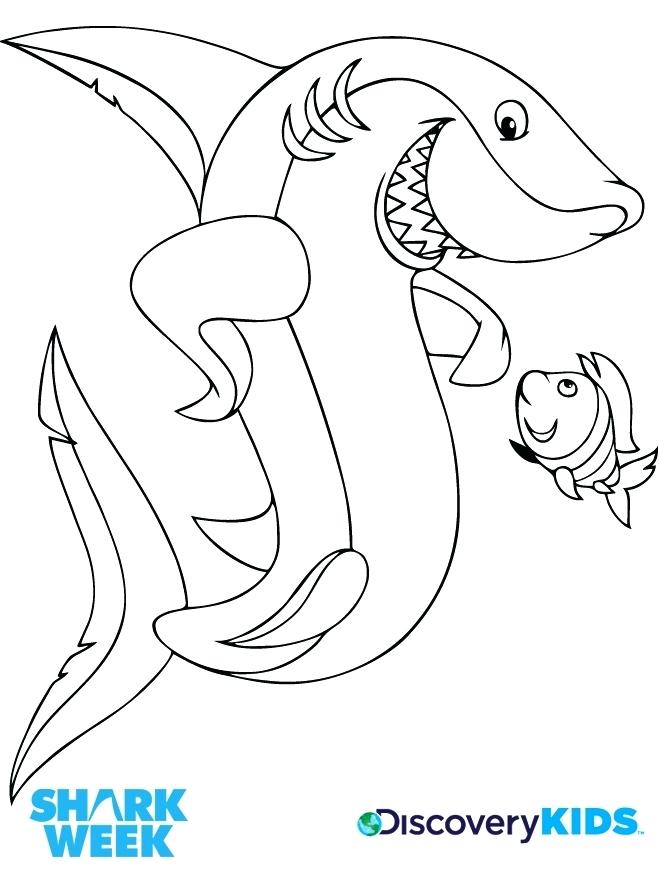 660x885 Shark Coloring Pages To Print Shark Pictures To Print And Color