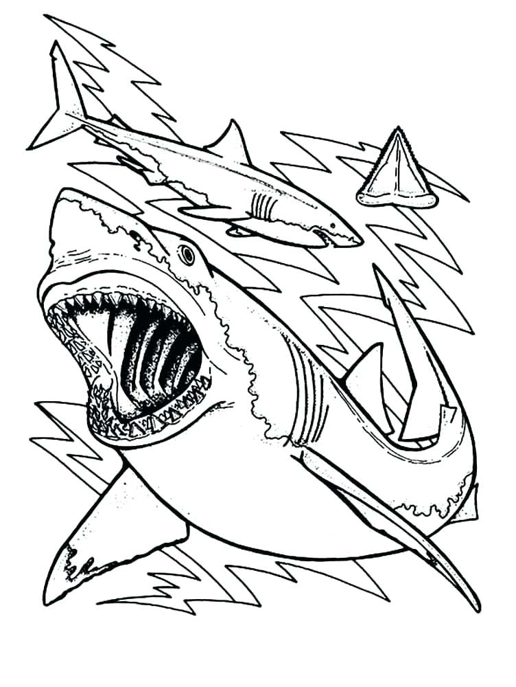 752x1000 Whale Shark Coloring Pages Shark Coloring Pages Shark Coloring