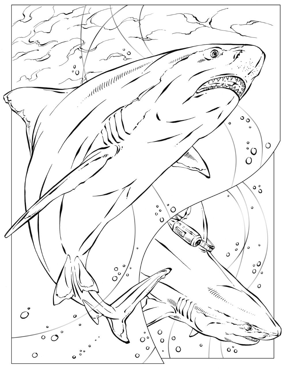 989x1280 Coloring Book Animals