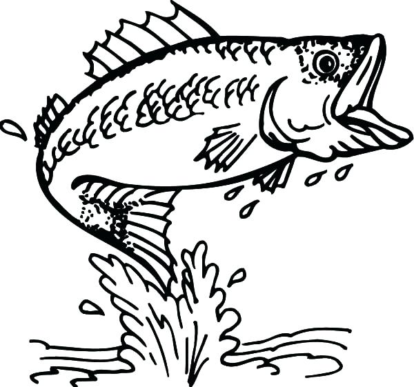 600x561 Fishing Coloring Pages Fishing Target Bass Fish Coloring Pages