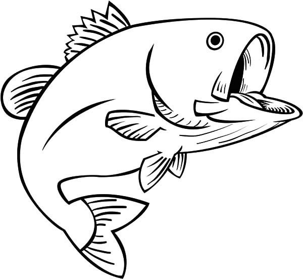 600x552 Fishing Fun Bass Fish Coloring Pages Best Place To Color