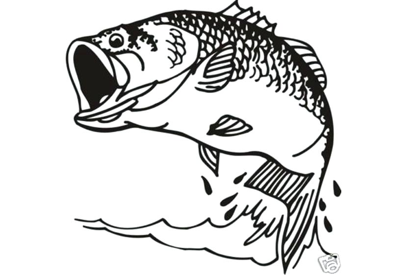 830x562 Printable Bass Fish Coloring Pages Fishing Page Ideas Co