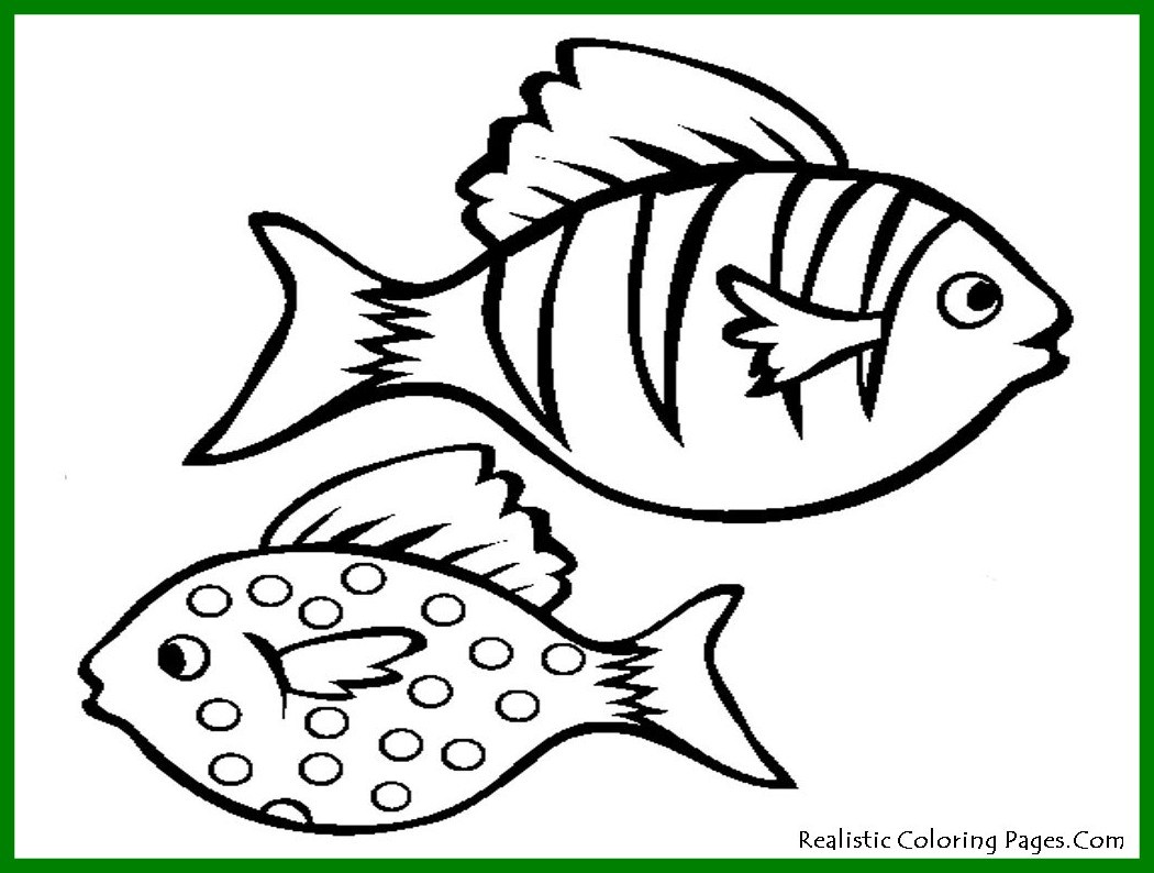 1050x794 Stunning Page Fish Bass Coloring Printable Seahorse Of To Print