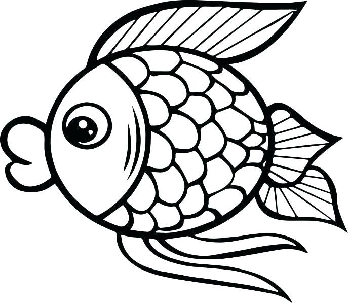 687x597 Bass Coloring Pages