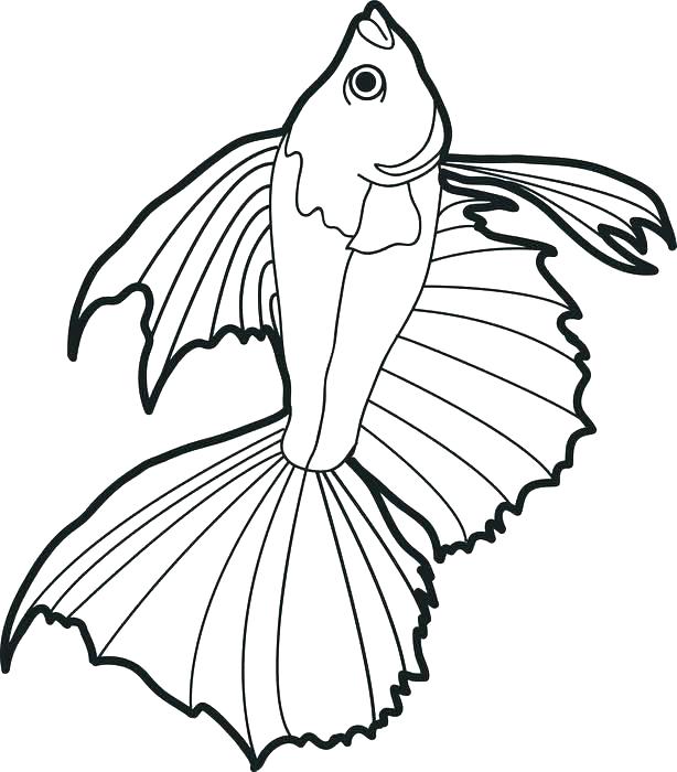614x700 Bass Fish Coloring Pages