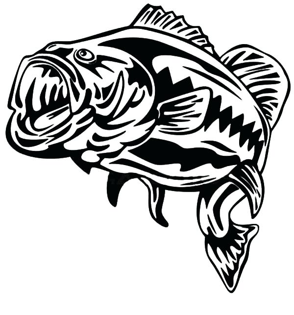 600x643 Bass Coloring Pages Striped Bass Coloring Pages