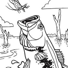 236x236 Bass Coloring Pages Color Bros