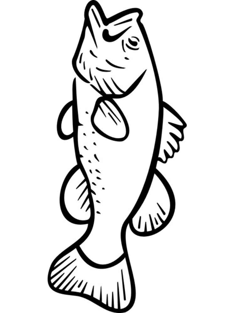 750x1000 Bass Fish Coloring Pages Download And Print Bass Fish Coloring Pages