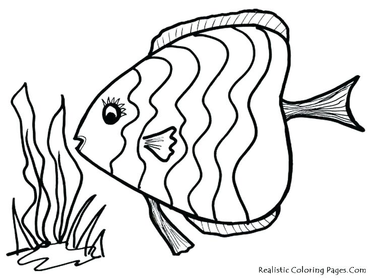 736x552 Free Fish Coloring Pages Coloring Pages Of A Fish Download Adult