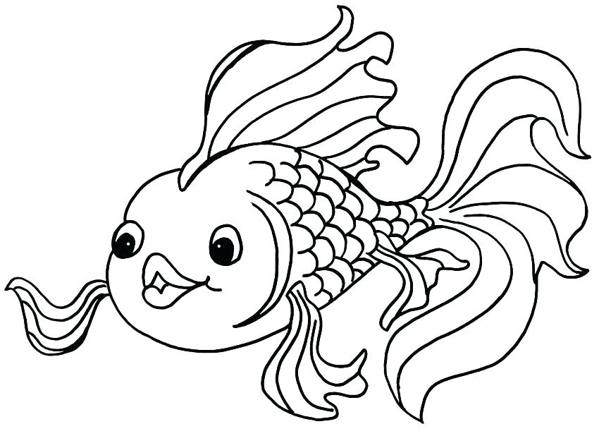 Bass Fish Coloring Pages at GetDrawings | Free download