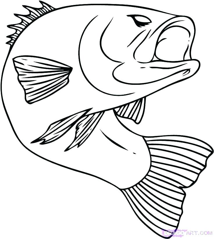 736x823 Tropical Fish Coloring Pages Realistic Fish Coloring Pages