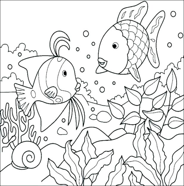 618x623 Bass Fish Coloring Pages Yongtjun