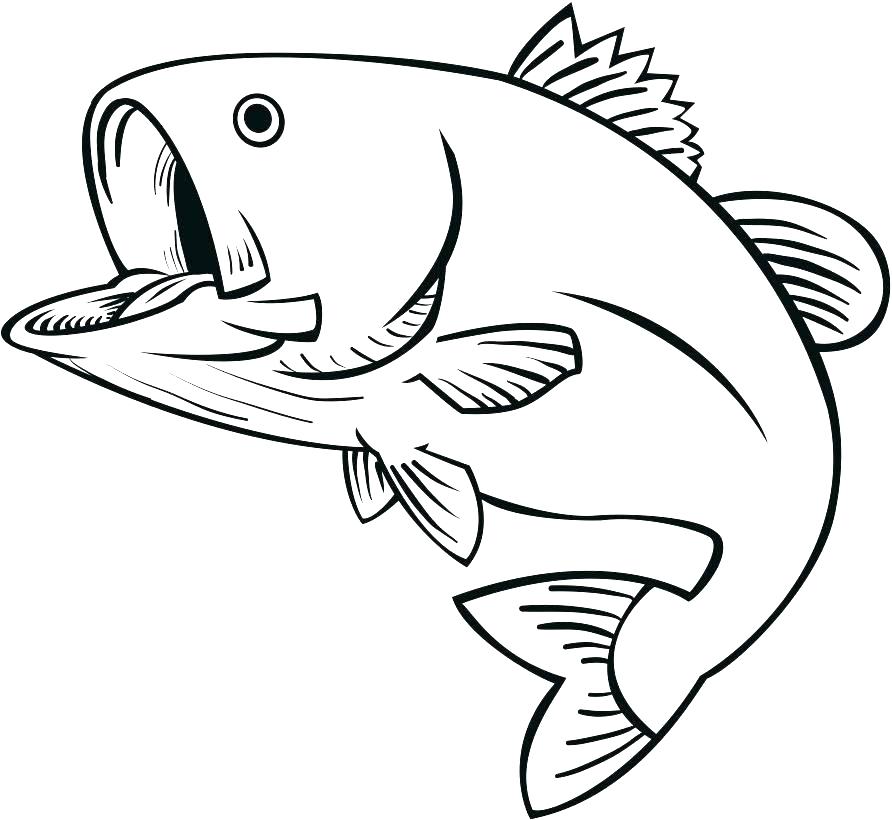 892x820 Bass Coloring Pages Fish Coloring Pages Bass Coloring Pages