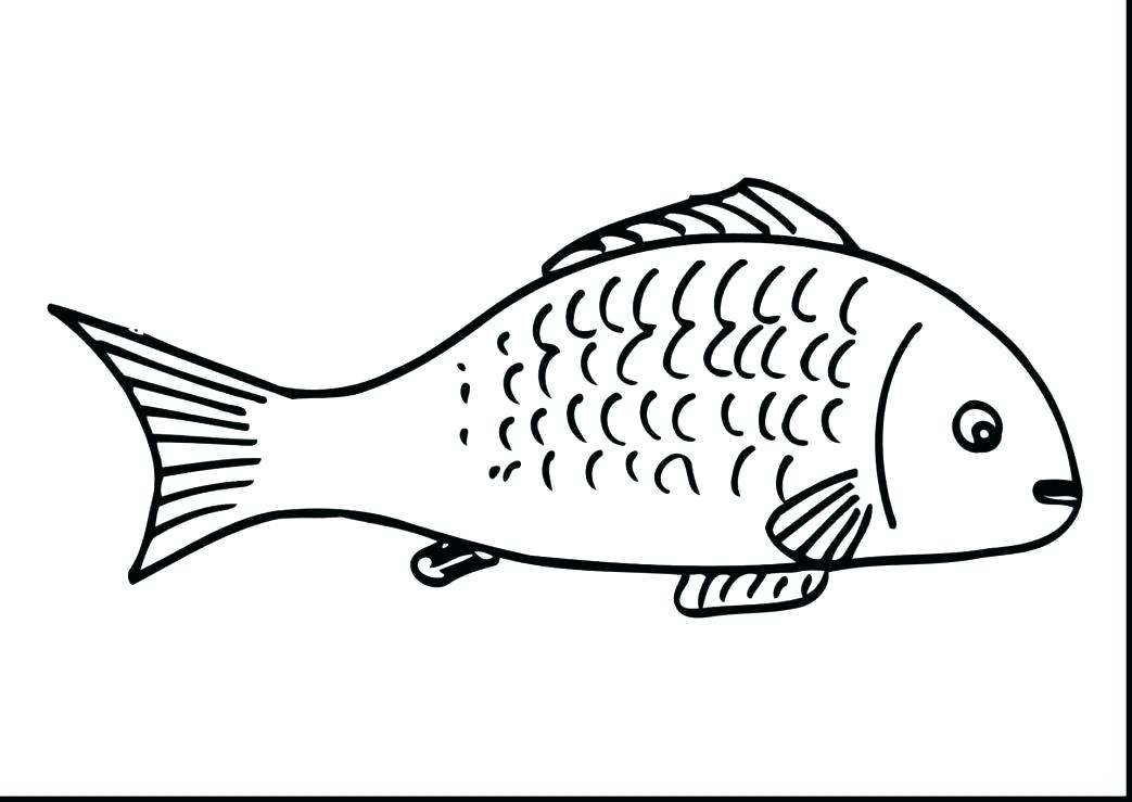 1043x739 Guitar Coloring Pages Bass Large Size Of Fishing Free Superb