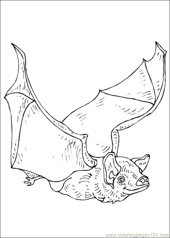 567x794 Bats Coloring Pages Kids Coloring Bat Coloring Pages Free Bats