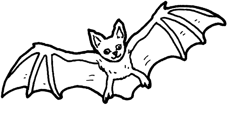 1049x541 Coloring Pages Of Bats Bat Coloring Page Printable Bat Coloring