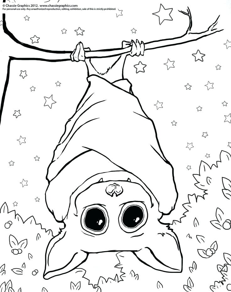 736x931 Bat Coloring Pages