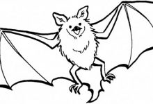 220x150 Bat Coloring Pages