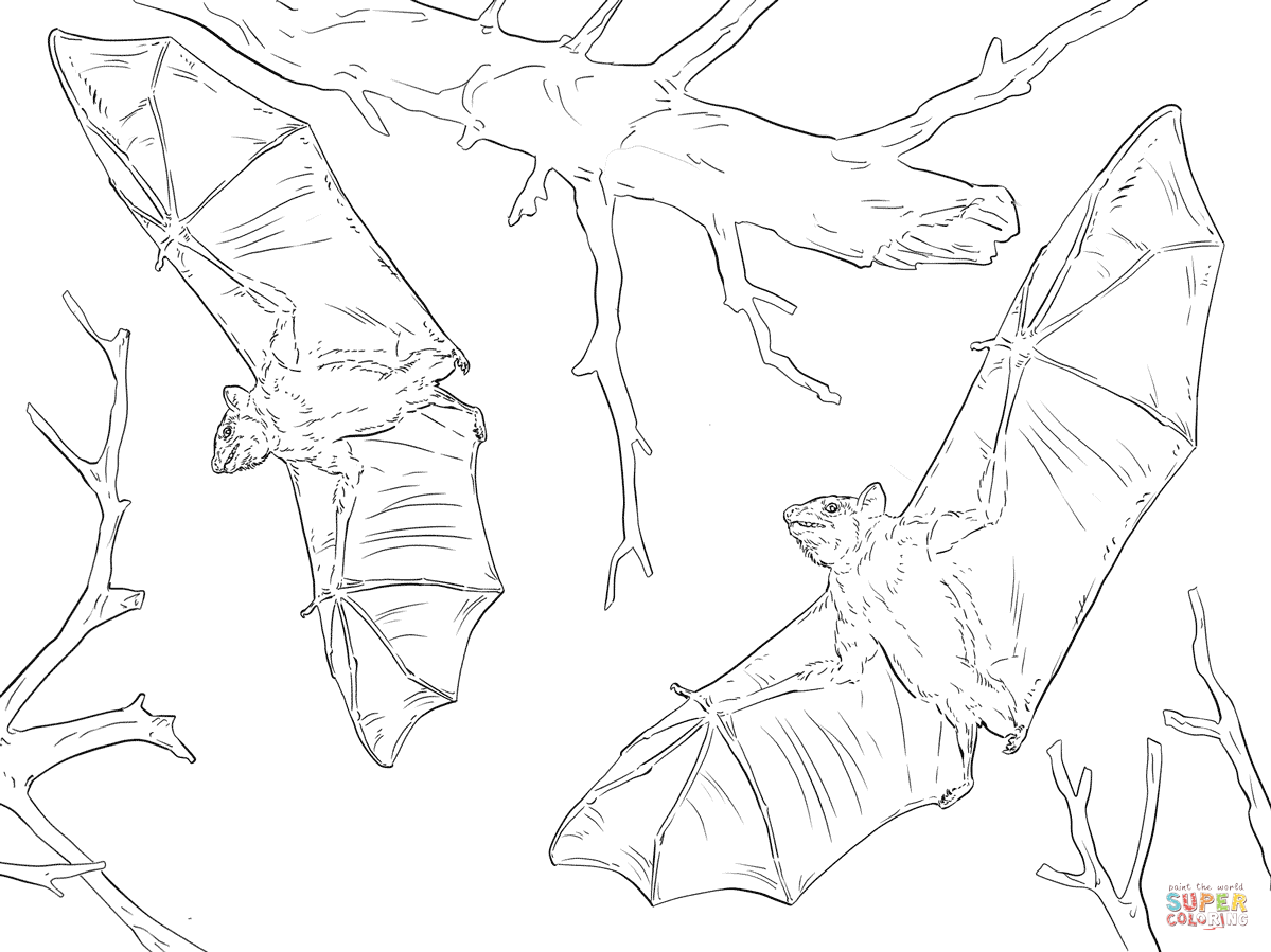 1199x899 Bat Coloring Pages