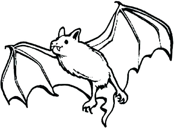 600x444 Bat Coloring Page Bat Coloring Pages Realistic Bats Coloring Pages