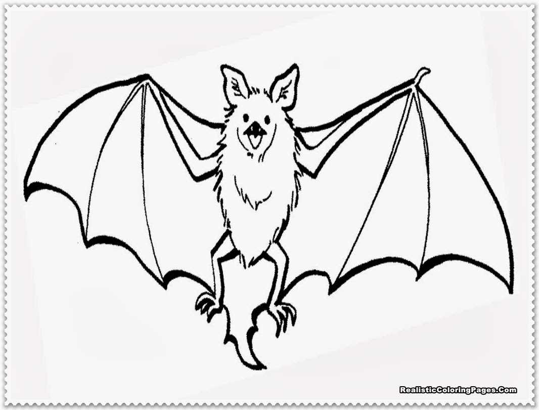 1066x810 Download Bat Pictures To Color Promising Bats Coloring Pages