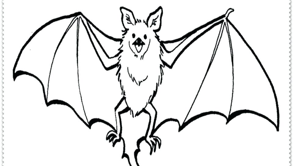 960x544 Free Printable Bat Coloring Pages Realistic Bat Coloring Pages