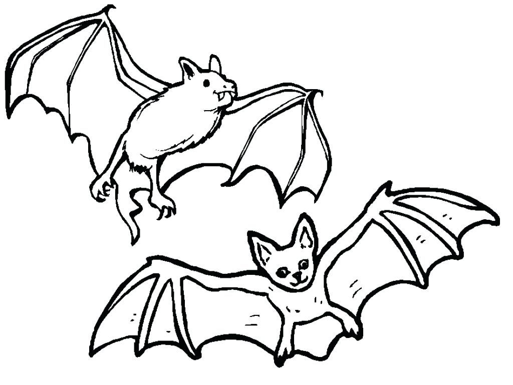 1024x769 Coloring Pages Bat Coloring Page Free Printable Pages For Kids