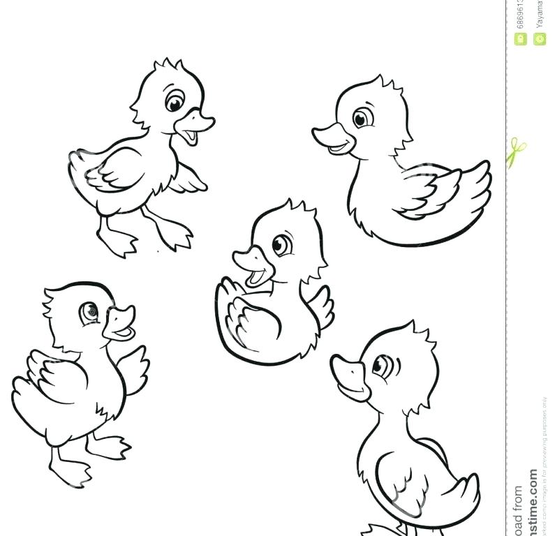 795x768 Swimming Coloring Pages Swimming Pool Colouring Page Barbie