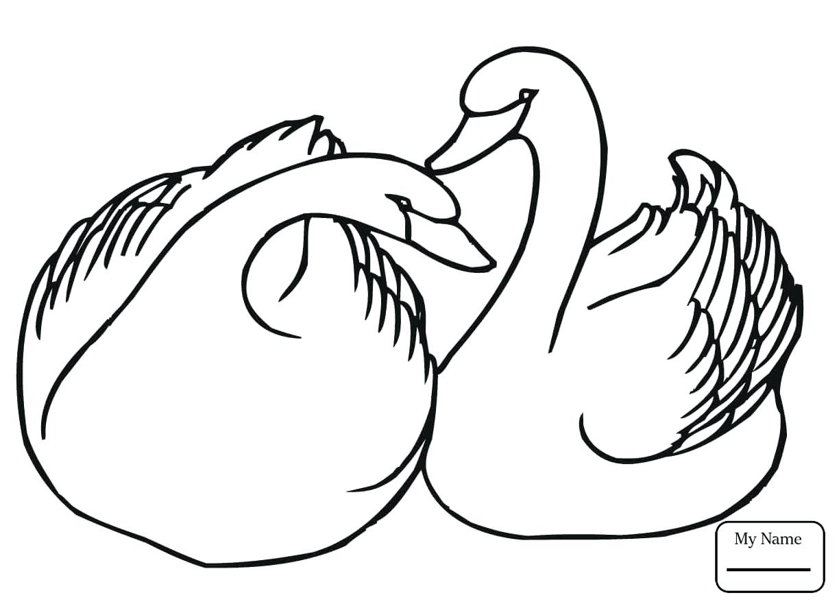 1224x881 Unique Swan Coloring Page Gallery Printable Coloring Sheet