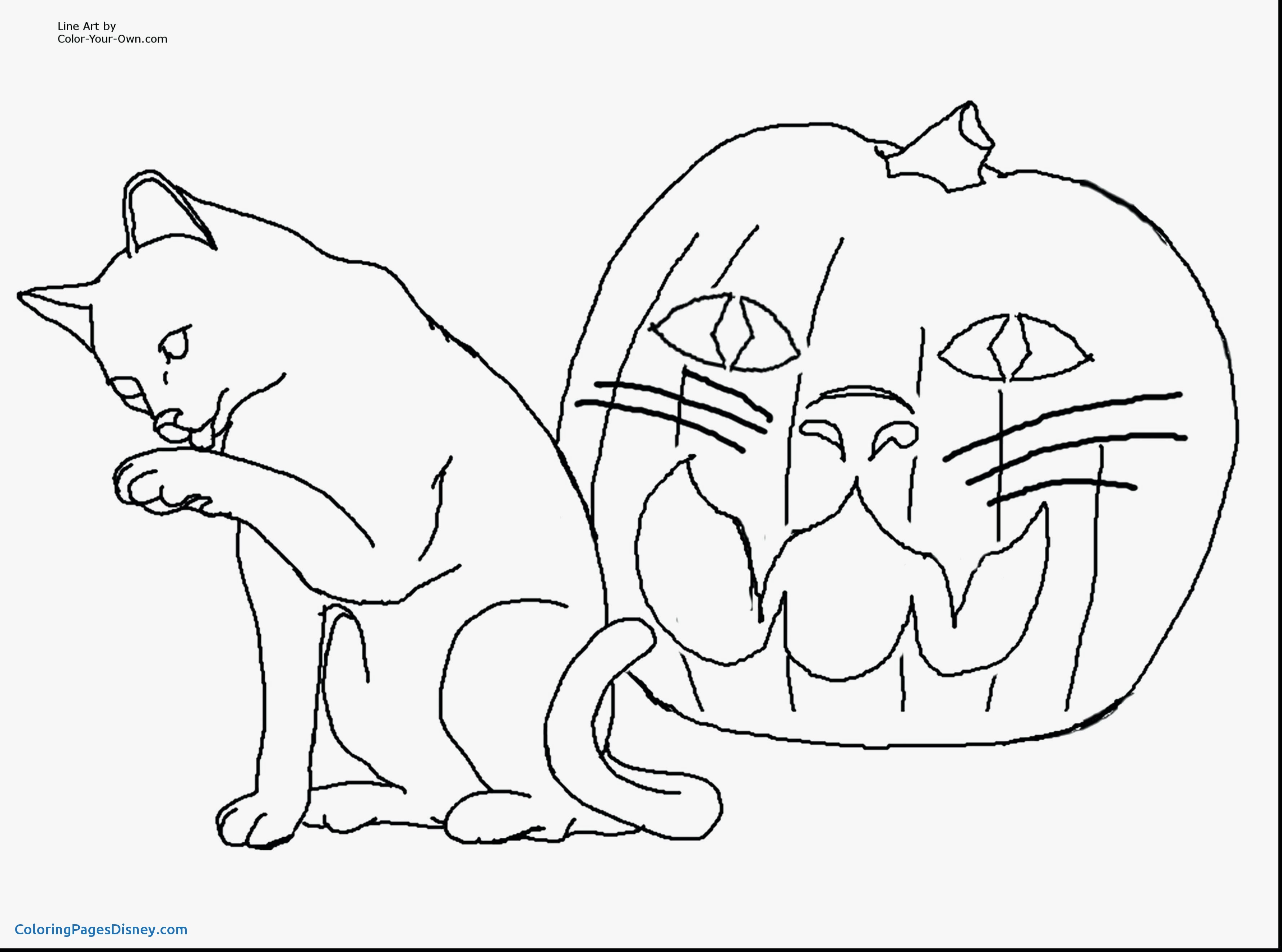 3555x2640 Curious George Coloring Pages Inspirational Simple Bulk Coloring