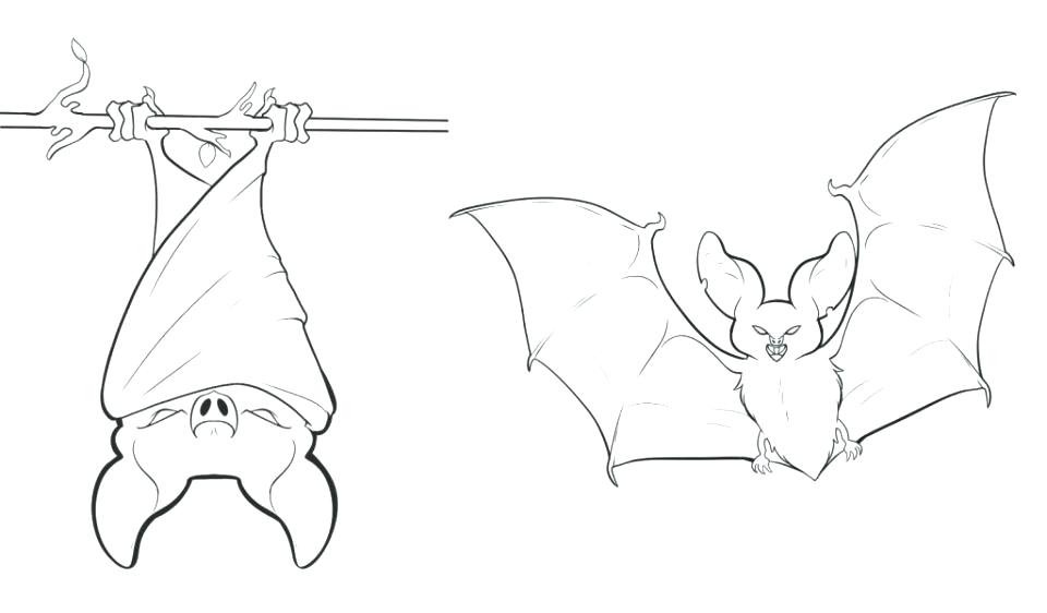 960x562 Coloring Pages Of Bats Coloring Pages Bats Bat Coloring Page Free