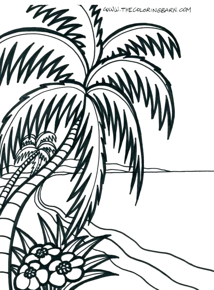 736x996 Coloring Page Beach Picture Of Umbrella Coloring Page Beach Chair