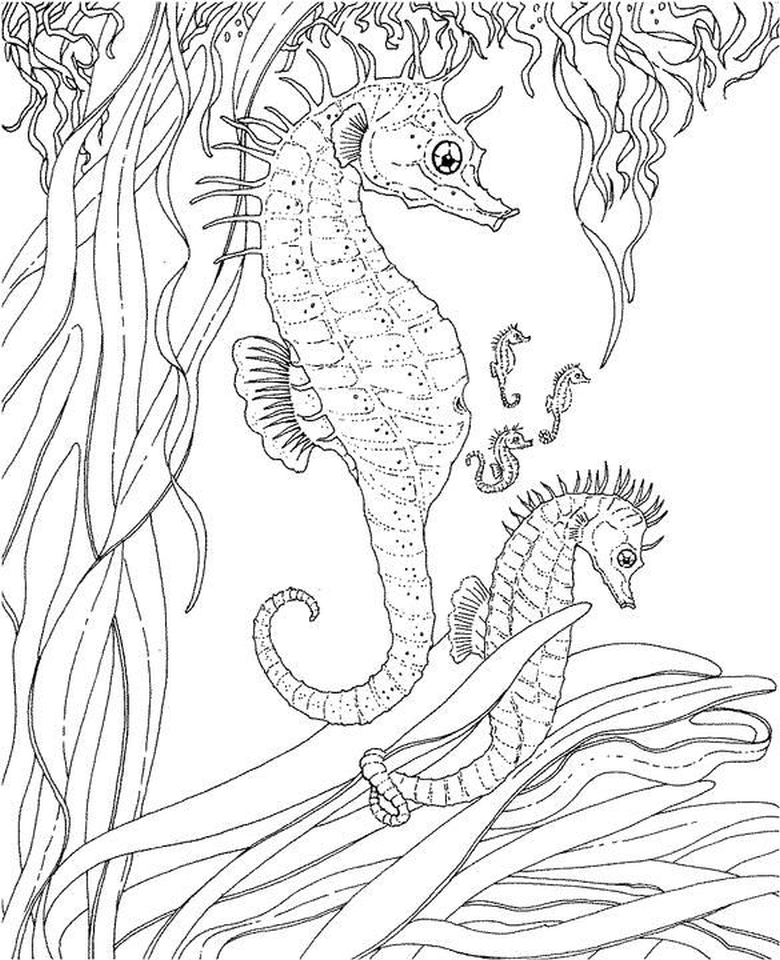 780x960 Get This Online Adults Printable Of Summer Coloring Sheets
