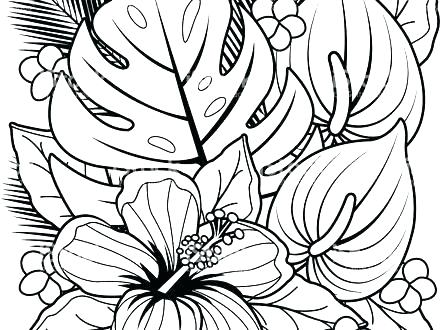 440x330 Coloring Pages Beach House Hawaiian Images Page Top For Toddler
