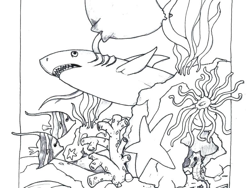 785x600 Sunrise Coloring Page