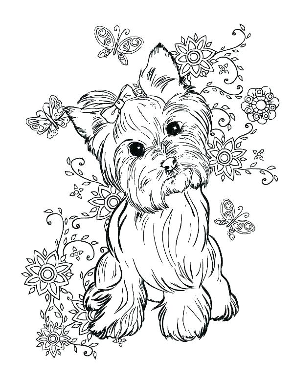 599x776 Beagle Coloring Pages