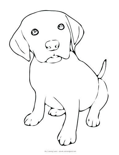 386x500 Beagle Coloring Pages Puppy Color For Cute Also Medium Size