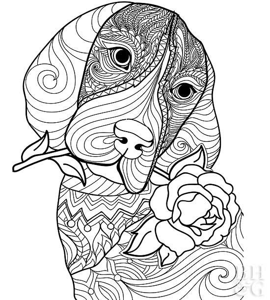 550x611 Pet Coloring Pages Better Homes Gardens
