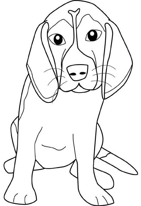 493x720 Beagle Teenagers Coloring Pages Templates Beagle