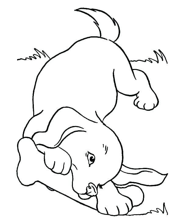 600x734 Beanie Boo Coloring Pages Cartoon Dog Coloring Pages Cute Dogs