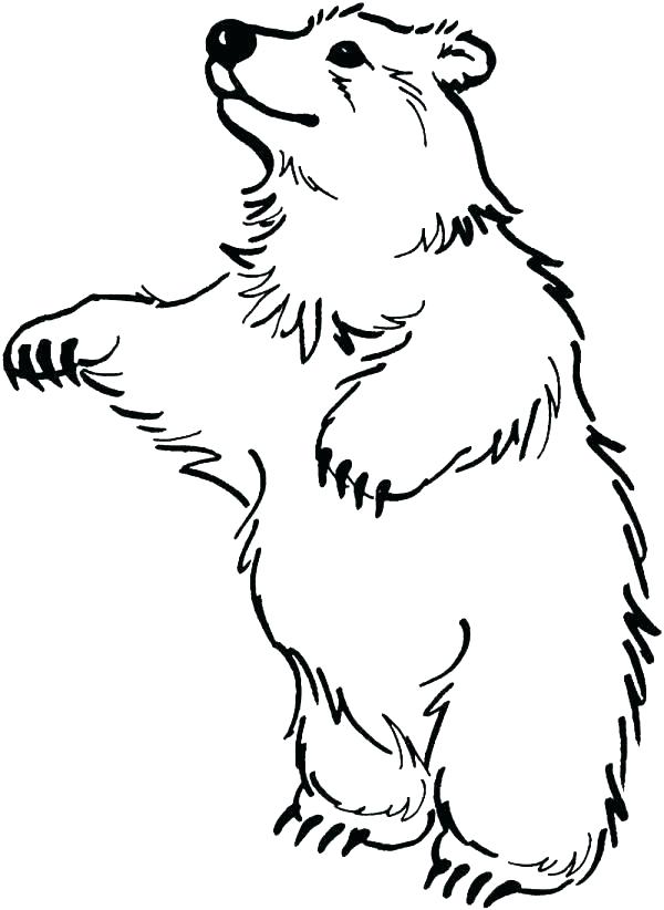 600x822 Black Bear Coloring Pages Simple Cute Cartoon Black Bear Coloring