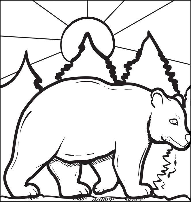 663x700 Free Printable Bear Coloring Pages Colouring To Beatiful Page