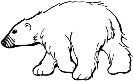465x282 Coloring Polar Bear Coloring Pages Printable Throughout Free