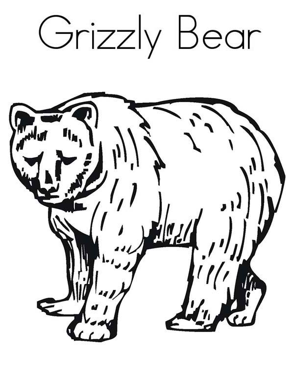 600x776 Grizzly Bear Coloring Pages